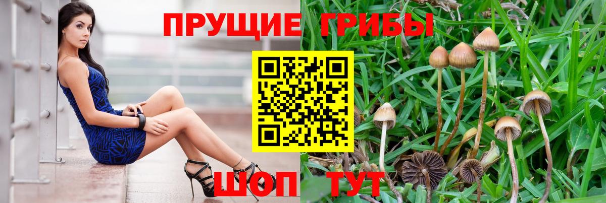 Псилоцибиновые грибы ЛСД  Вход с VPN  Томск 